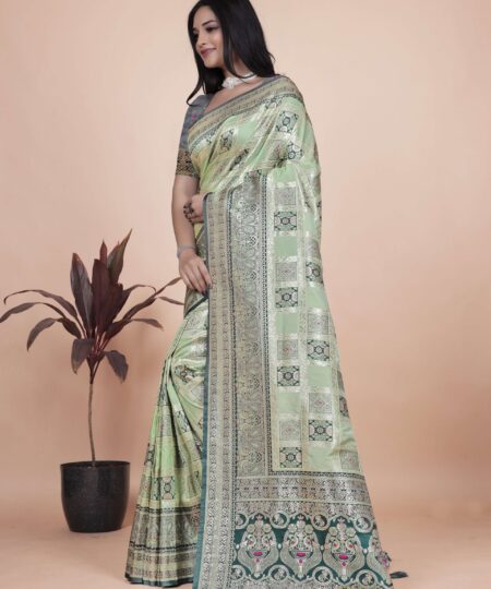 Pastel Green & Dark Green Banarasi Silk Saree with Silver Zari | Wedding & Festive Wear | Elegant Designer Banarasi Saree